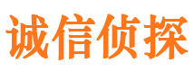 阜宁市私人侦探